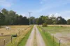 99 Paper Beach Road, Swan Point, Tas 7275-Image