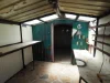 99 Pitt Road, Burpengary, Qld 4505-Image