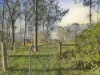 99 School Road, Grandchester, Qld 4340-Image