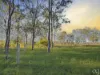 99 School Road, Grandchester, Qld 4340-Image