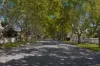 99 Second Avenue, Joslin, SA 5070-Image