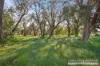 99 Sulphur Road, Orelia, WA 6167-Image