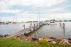99 Western Boulevard, Raymond Island, Vic 3880-Image