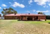 998 Cowra Avenue, Irymple VIC 3498-Image