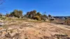 99a Greenup Greenup, Stanthorpe, Qld 4380-Image