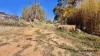 99a Greenup Greenup, Stanthorpe, Qld 4380-Image