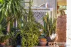 9A Kedron Place, Greenfields, WA 6210-Image