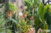 9A Kedron Place, Greenfields, WA 6210-Image