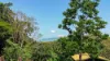 9A&B Ray Street, Yorkeys Knob, Qld 4878-Image