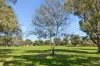 9C Northwood Way, Kallaroo, WA 6025-Image