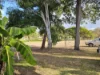 Address available on request, Ayr, Qld 4807-Image