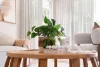 Address available on request, Brinsmead, Qld 4870-Image