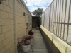 Address available on request, Byford, WA 6122-Image