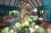 Address available on request, Carruchan, Qld 4816-Image