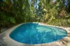 Address available on request, Carruchan, Qld 4816-Image
