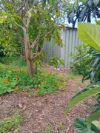 Address available on request, Coolbellup, WA 6163-Image