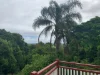 Address available on request, Dalwood, NSW 2477-Image