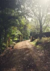 Address available on request, Federal, NSW 2480-Image