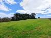 Address available on request, Flowerdale, Tas 7325-Image