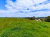 Address available on request, Flowerdale, Tas 7325-Image