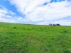 Address available on request, Flowerdale, Tas 7325-Image