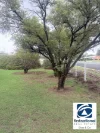 Address available on request, Goondiwindi, Qld 4390-Image