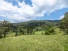 Address available on request, Hunchy, Qld 4555-Image