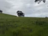 Address available on request, Kerrisdale, Vic 3660-Image