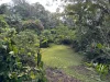 Address available on request, Kuranda, Qld 4881-Image