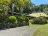 Address available on request, Kuranda, Qld 4881-Image