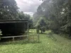 Address available on request, Lake Barrine, Qld 4884-Image