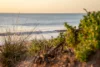 Address available on request, Madora Bay, WA 6210-Image