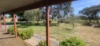Address available on request, Manoora, SA 5414-Image
