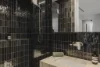 Address available on request, Oatlands, NSW 2117-Image