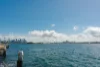 Address available on request, Point Piper, NSW 2027-Image