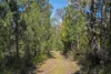 Address available on request, Premaydena, Tas 7185-Image