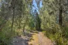 Address available on request, Premaydena, Tas 7185-Image