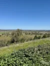 Address available on request, Quirindi, NSW 2343-Image