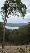Address available on request, Tallai, Qld 4213-Image