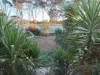Address available on request, Tammin, WA 6409-Image