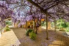 Address available on request, Toodyay, WA 6566-Image