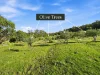Address available on request, Westerway, Tas 7140-Image