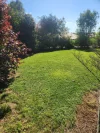 Address available on request, Yungaburra, Qld 4884-Image