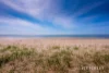 Beach Box 111, Rye, Vic 3941-Image