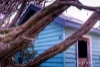 Beach Box 111, Rye, Vic 3941-Image