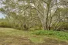 CA5 & 5J Hylands Lane, Heathcote, Vic 3523-Image