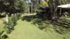 , Camp Mountain QLD 4520-Image