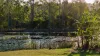 , Captain Creek QLD 4677-Image