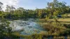 , Captain Creek QLD 4677-Image