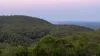 , Captain Creek QLD 4677-Image